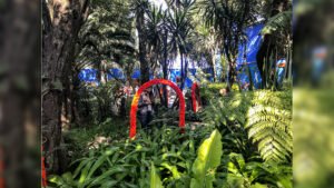 Frida Kahlo Museum